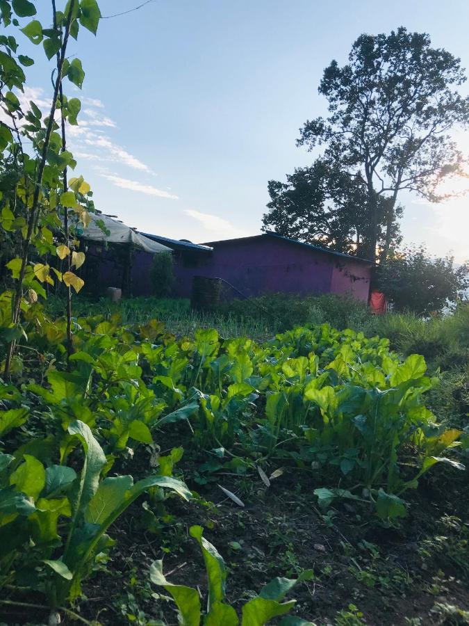Hom'S Homestay & Farmstay Sarangkot ポカラ エクステリア 写真
